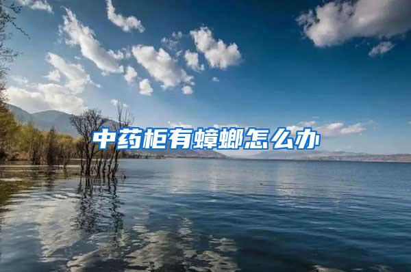 中药柜有蟑螂怎么办