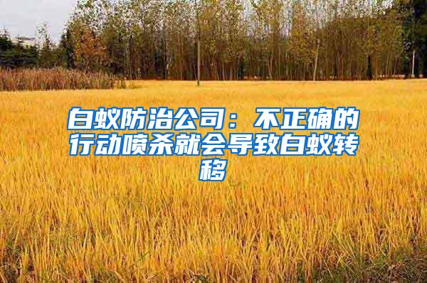 白蚁防治公司：不正确的行动喷杀就会导致白蚁转移