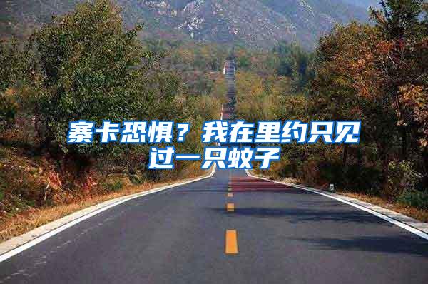 寨卡恐惧？我在里约只见过一只蚊子