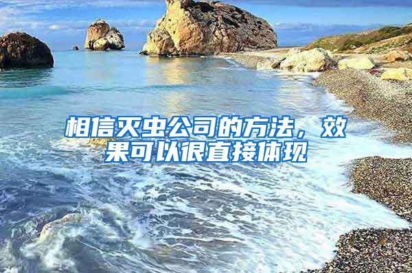 相信灭虫公司的方法，效果可以很直接体现