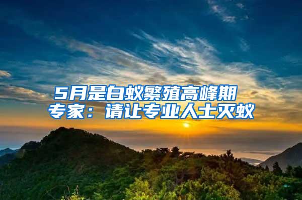 5月是白蚁繁殖高峰期 专家：请让专业人士灭蚁