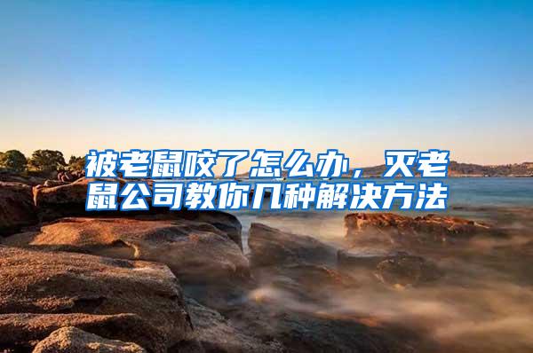 被老鼠咬了怎么办，灭老鼠公司教你几种解决方法