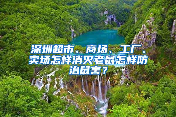 深圳超市、商场、工厂、卖场怎样消灭老鼠怎样防治鼠害？