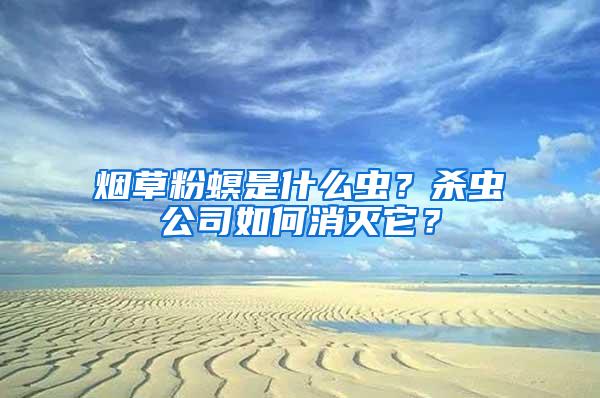 烟草粉螟是什么虫？杀虫公司如何消灭它？