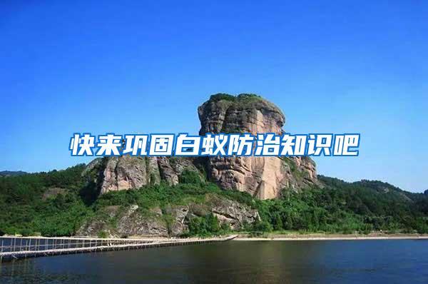 快来巩固白蚁防治知识吧