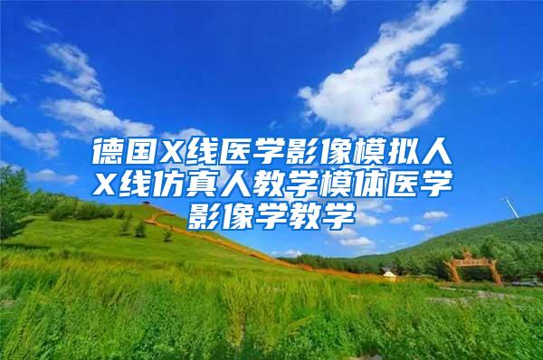 德国X线医学影像模拟人X线仿真人教学模体医学影像学教学