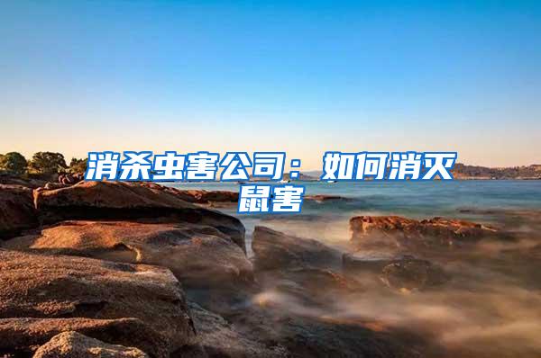 消杀虫害公司：如何消灭鼠害