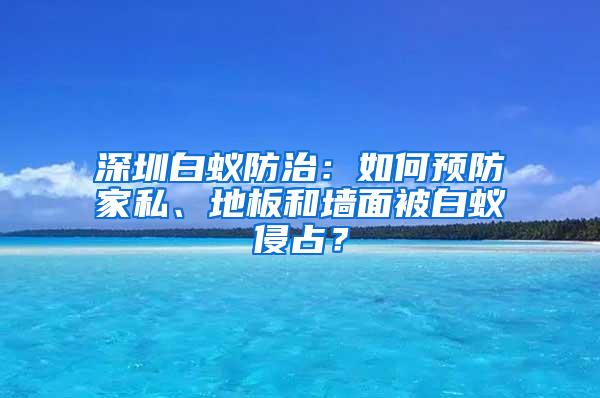 深圳白蚁防治：如何预防家私、地板和墙面被白蚁侵占？