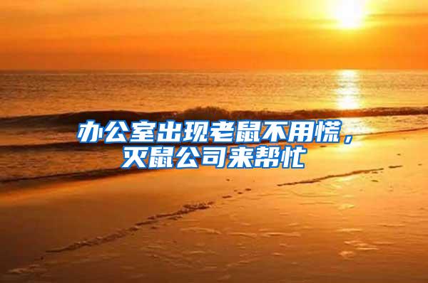 办公室出现老鼠不用慌，灭鼠公司来帮忙