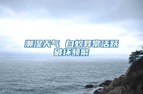 潮湿天气 白蚁异常活跃破坏频繁