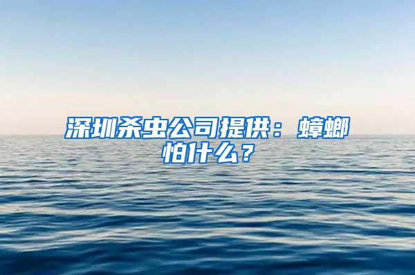 深圳杀虫公司提供：蟑螂怕什么？