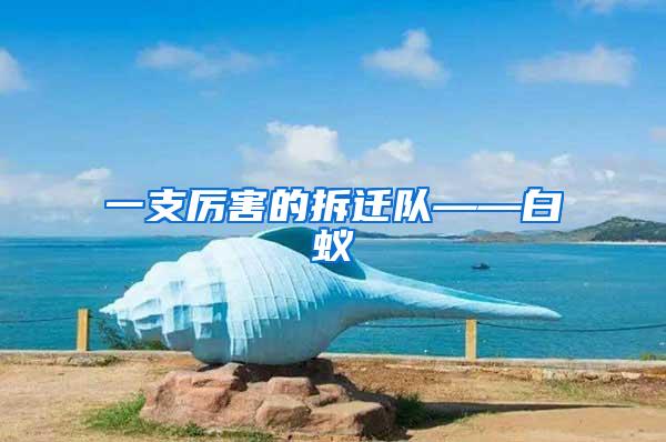 一支厉害的拆迁队——白蚁
