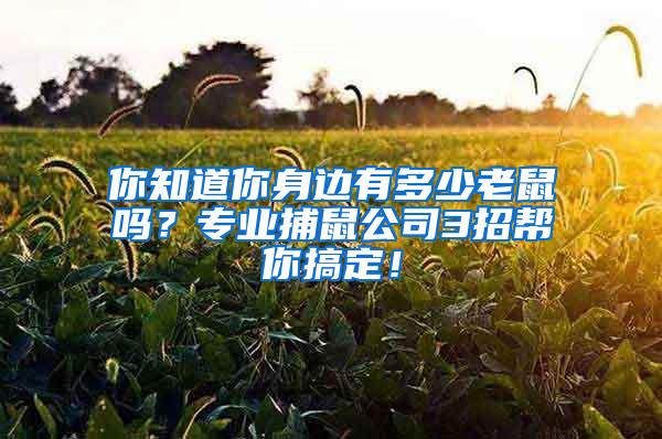 你知道你身边有多少老鼠吗？专业捕鼠公司3招帮你搞定！