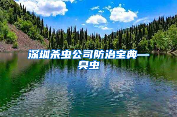 深圳杀虫公司防治宝典—臭虫