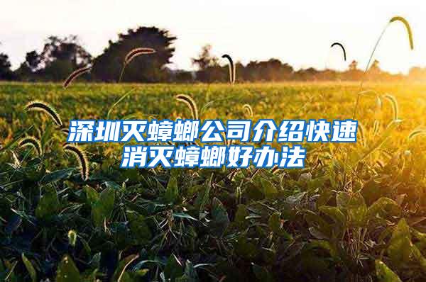 深圳灭蟑螂公司介绍快速消灭蟑螂好办法