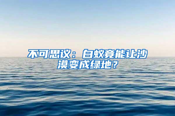 不可思议：白蚁竟能让沙漠变成绿地？