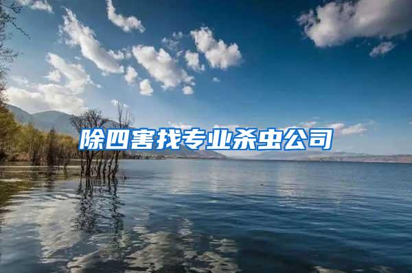 除四害找专业杀虫公司