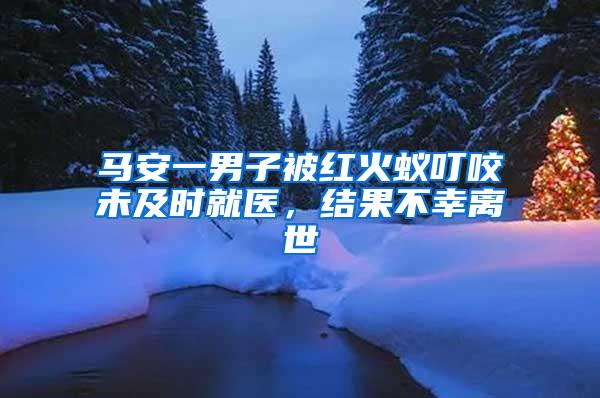 马安一男子被红火蚁叮咬未及时就医，结果不幸离世