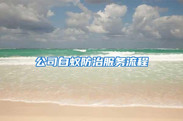 公司白蚁防治服务流程