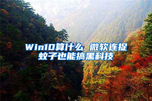 Win10算什么 微软连捉蚊子也能搞黑科技