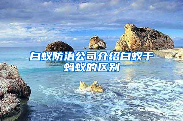 白蚁防治公司介绍白蚁于蚂蚁的区别