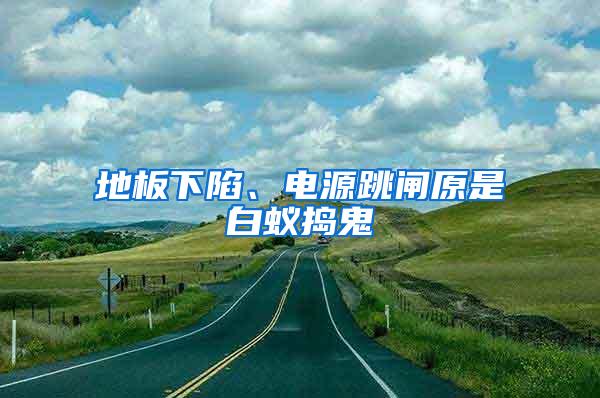 地板下陷、电源跳闸原是白蚁捣鬼