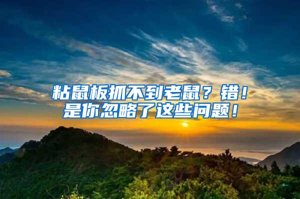 粘鼠板抓不到老鼠？错！是你忽略了这些问题！