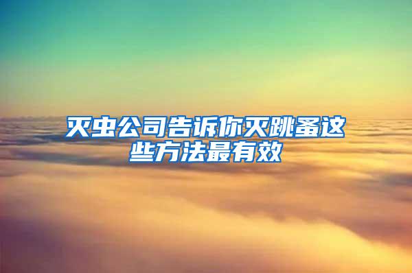 灭虫公司告诉你灭跳蚤这些方法最有效