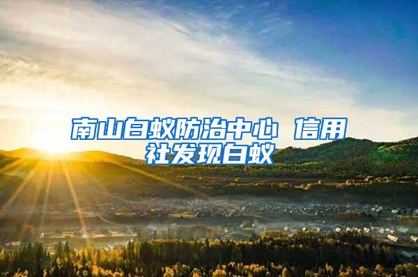 南山白蚁防治中心 信用社发现白蚁