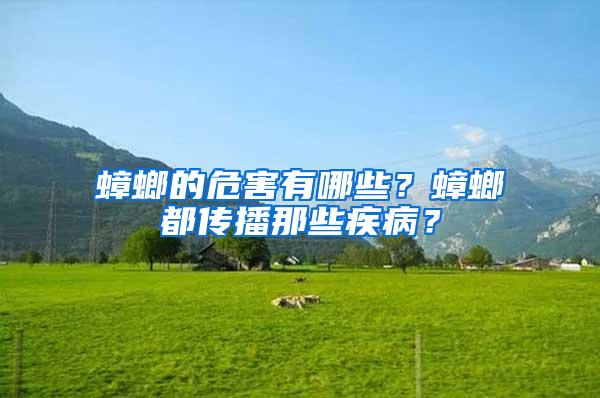 蟑螂的危害有哪些？蟑螂都传播那些疾病？