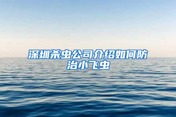 深圳杀虫公司介绍如何防治小飞虫