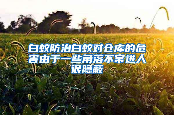 白蚁防治白蚁对仓库的危害由于一些角落不常进人很隐蔽