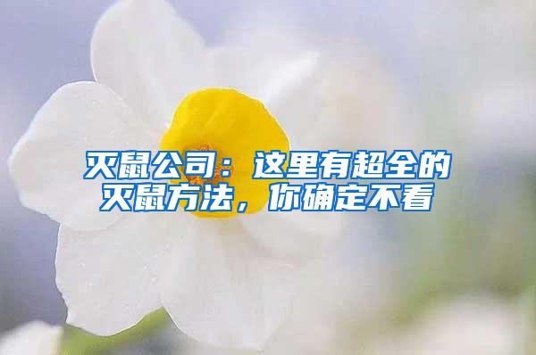 灭鼠公司：这里有超全的灭鼠方法，你确定不看