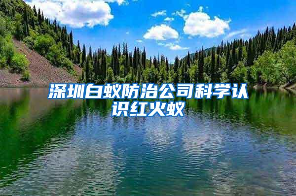 深圳白蚁防治公司科学认识红火蚁