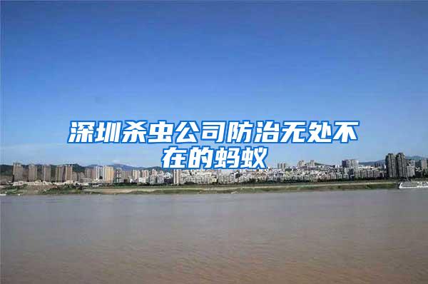 深圳杀虫公司防治无处不在的蚂蚁