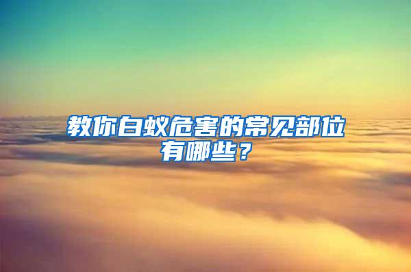 教你白蚁危害的常见部位有哪些？