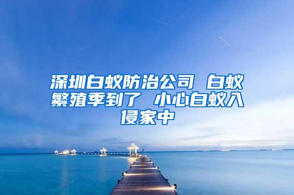 深圳白蚁防治公司 白蚁繁殖季到了 小心白蚁入侵家中