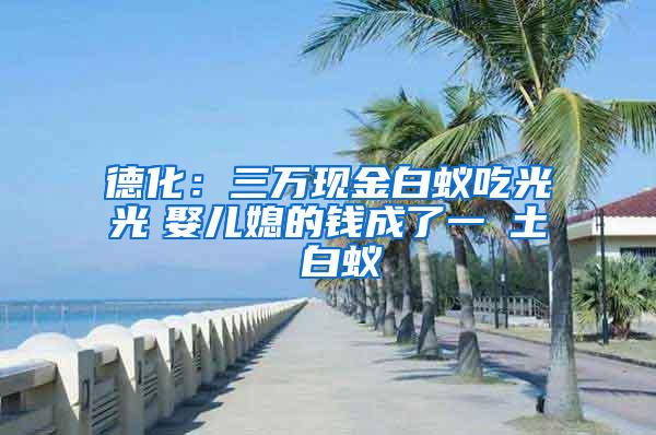 德化：三万现金白蚁吃光光　娶儿媳的钱成了一抔土 白蚁