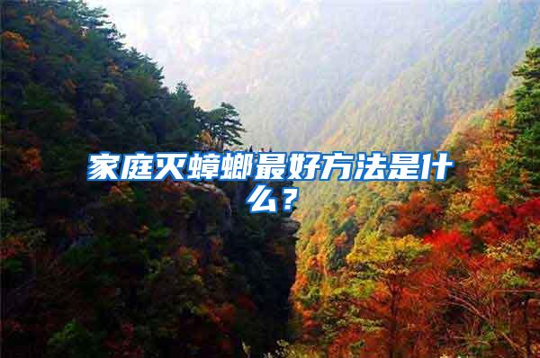 家庭灭蟑螂最好方法是什么？