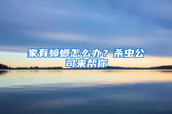 家有蟑螂怎么办？杀虫公司来帮你