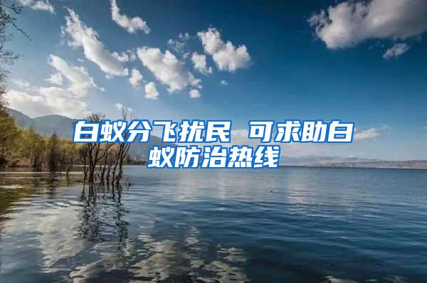 白蚁分飞扰民 可求助白蚁防治热线