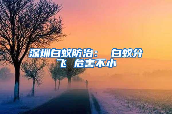 深圳白蚁防治： 白蚁分飞 危害不小