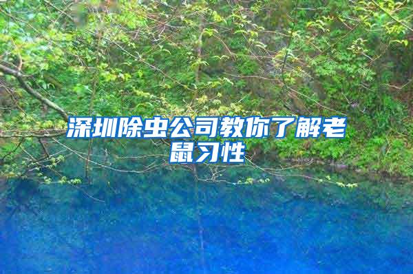 深圳除虫公司教你了解老鼠习性