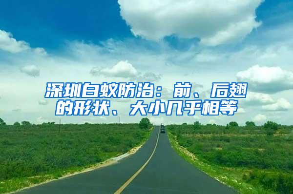 深圳白蚁防治：前、后翅的形状、大小几乎相等