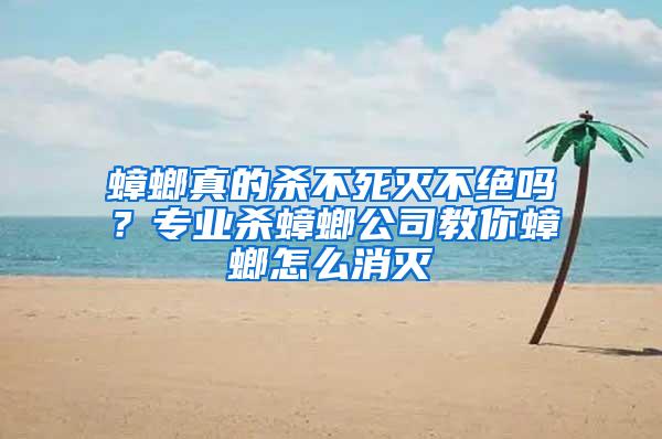 蟑螂真的杀不死灭不绝吗？专业杀蟑螂公司教你蟑螂怎么消灭