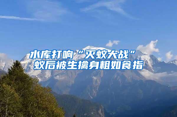 水库打响“灭蚁大战” 蚁后被生擒身粗如食指