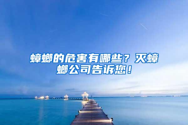 蟑螂的危害有哪些？灭蟑螂公司告诉您！