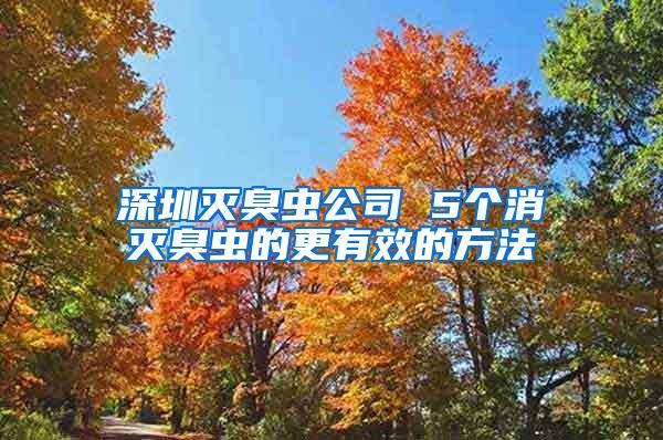 深圳灭臭虫公司 5个消灭臭虫的更有效的方法