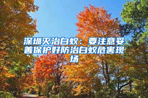 深圳灭治白蚁：要注意妥善保护好防治白蚁危害现场