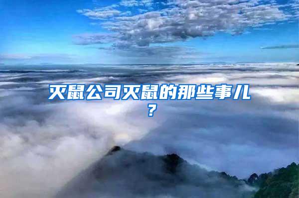 灭鼠公司灭鼠的那些事儿？